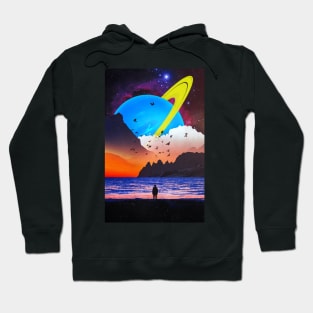 Birdwatching Hoodie